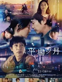 《捕风追影》高清免费看